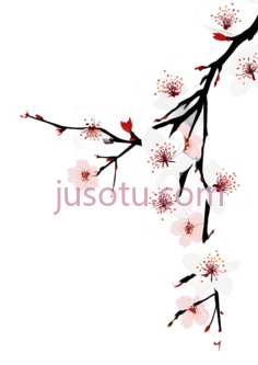 樱花,插画,白色, PNG