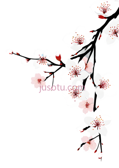 樱花,插画,白色, PNG