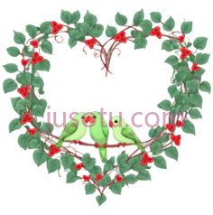 心形花环,绿色,红色PNG