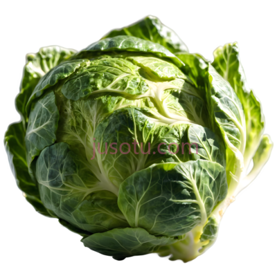 卷心菜,自然,绿色, PNG