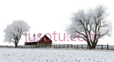 雪地,树木,房屋,冬季风景,白色,灰色,红色PNG