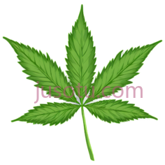 草本植物, PNG