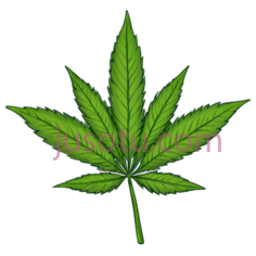 杂草植物, PNG