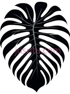 龟背竹叶PNG