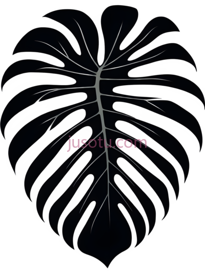 龟背竹叶, PNG