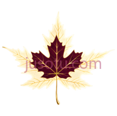 枫叶,插画,黄色,红色PNG