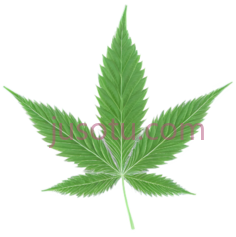 大麻叶, PNG