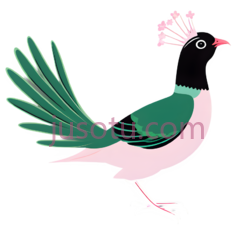 绿雉PNG