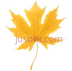 枫叶,插画,黄色PNG