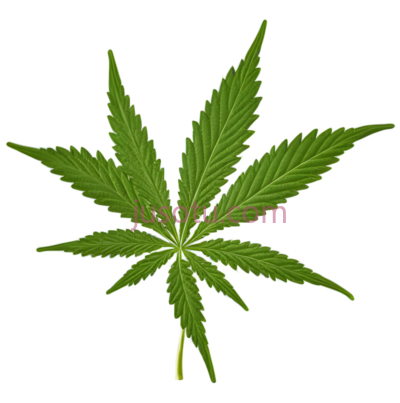 大麻植物, PNG