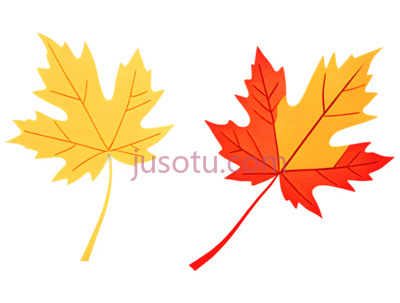 枫叶,插画,红色, PNG