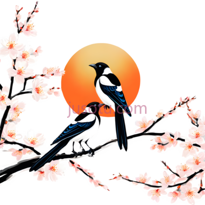 喜鹊,插画,黑色,白色,蓝色, PNG
