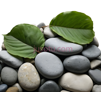 石头,树叶, PNG