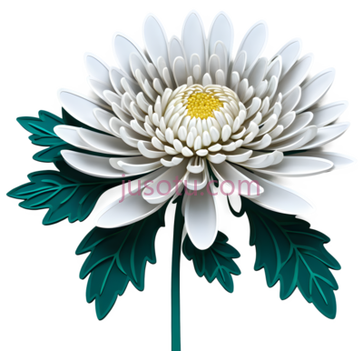 菊花,插画,白色, 黄色, 绿色, PNG