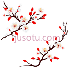 梅花,插画,白色,红色PNG