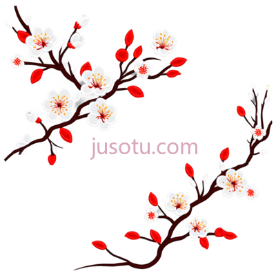 梅花,插画,白色,红色, PNG
