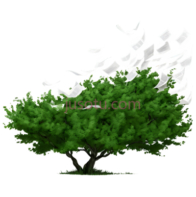 树,抽象,绿色, PNG