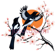 喜鹊,插画,黑色,白色,粉色PNG
