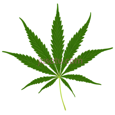 大麻叶, PNG