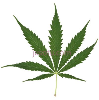 大麻叶, PNG