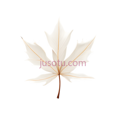 枫叶, PNG