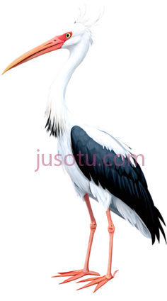 白鹤PNG
