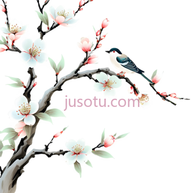 梅花,水墨画,白色,粉色, PNG