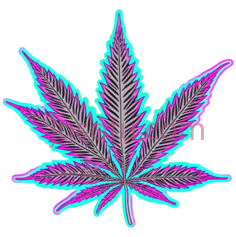 大麻叶PNG
