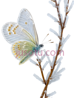柳枝,蝴蝶PNG