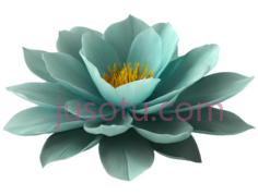 莲花,数字,浅蓝色PNG