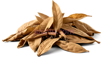 烟叶,落叶, PNG