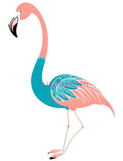 红鹳,火烈鸟, PNG