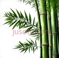 竹林PNG