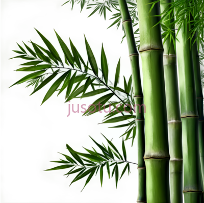 竹林, PNG