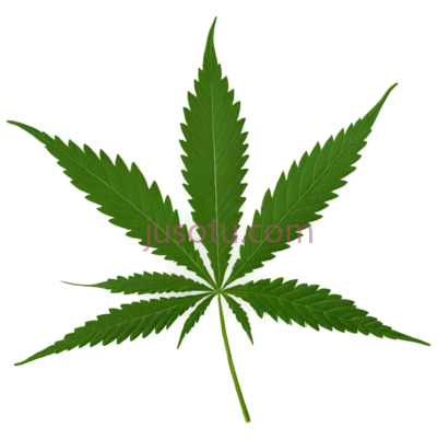 大麻叶,绿色, PNG