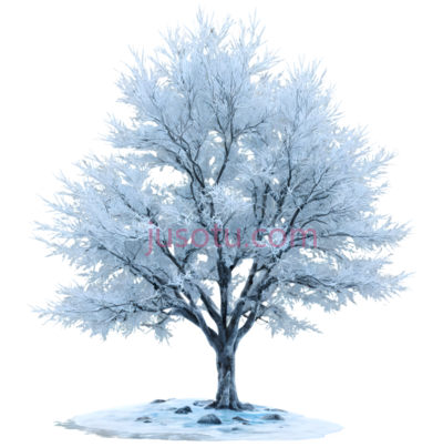 树,雪覆盖,白色, PNG