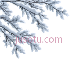 冬天,树枝PNG