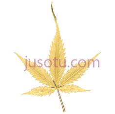 叶子,金色, PNG