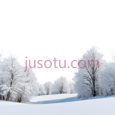 雪地,自然景观,白色PNG