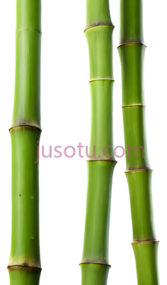 竹子, PNG