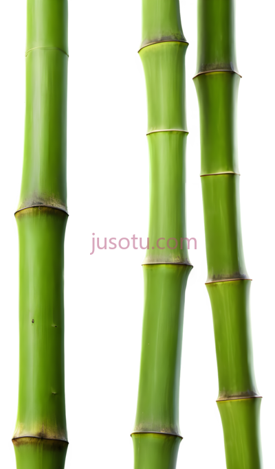 竹子, PNG