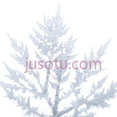 雪花,自然形态,白色PNG