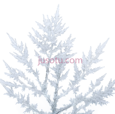 雪花,自然形态,白色, PNG