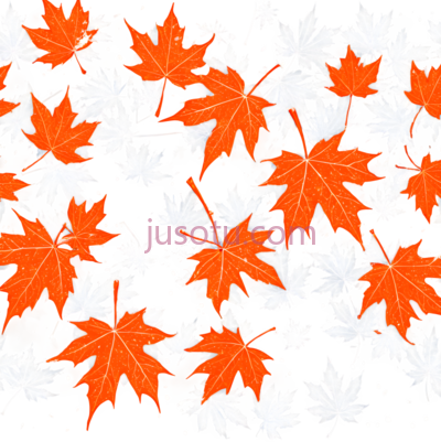 枫叶,插画,橙色,灰色, PNG