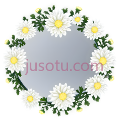 菊花,镜面PNG
