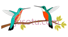 蜂鸟,树枝PNG