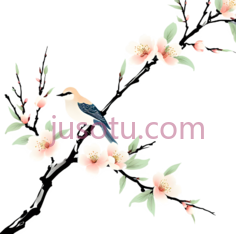 鸟,花,水墨画,白色,粉色,绿色PNG