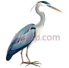 苍鹭,插画,蓝色PNG