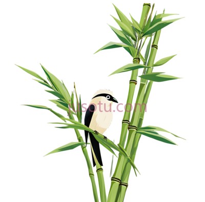 鸟,竹子, PNG