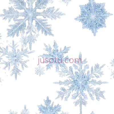 雪花,细节丰富,白色, PNG
